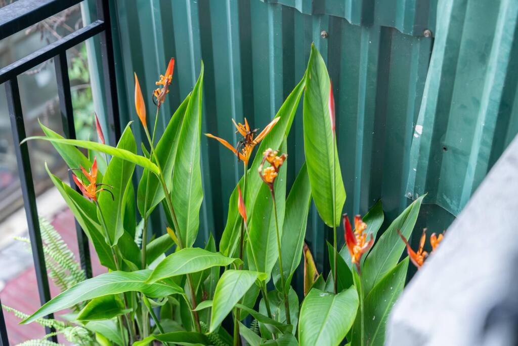 Entireplace*2Br/Bathtub/Supercenter*New* ฮานอย ภายนอก รูปภาพ